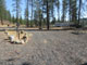 Riverside State Park Equestrian 012