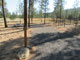 Riverside State Park Equestrian 021