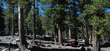 Inyo National Forest