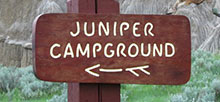 Theodore Roosevelt National Park Juniper
