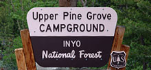 Upper Pine Grove