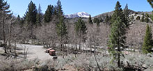 Inyo National Forest
