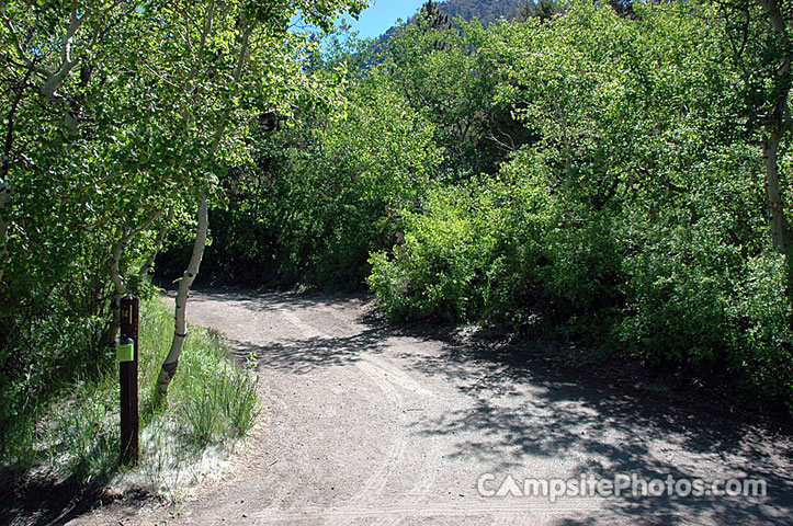 June Lake Campground 014