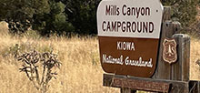 Mills Canyon