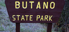 Butano State Park