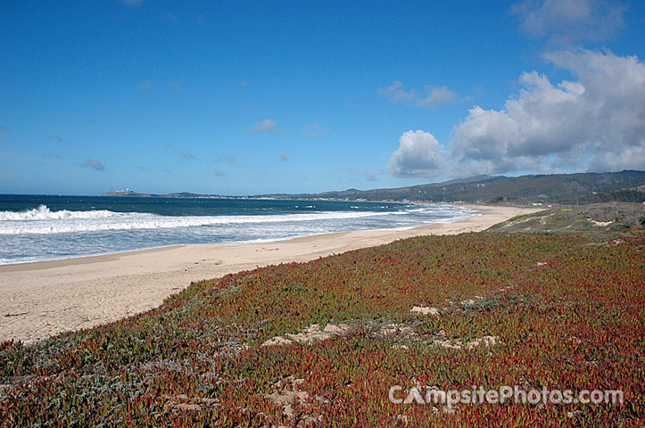 Half Moon Bay SP Beach View