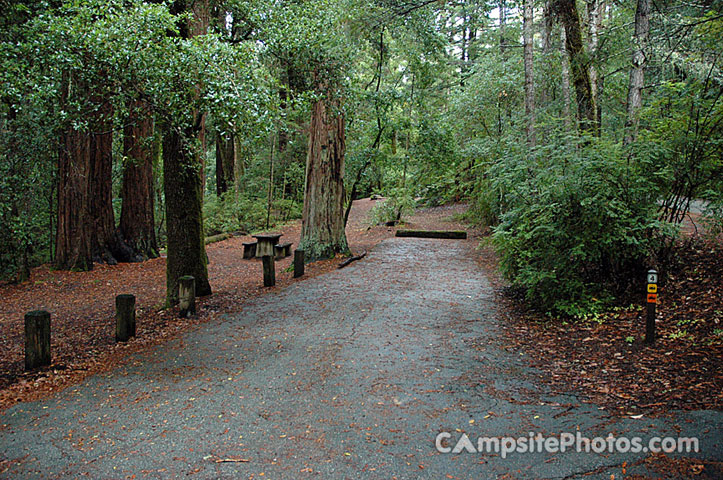Portola Redwoods SP 004
