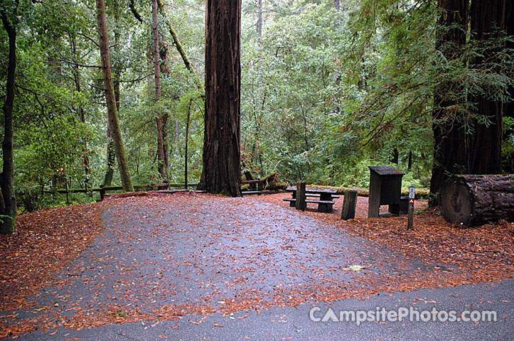 Portola Redwoods SP 020
