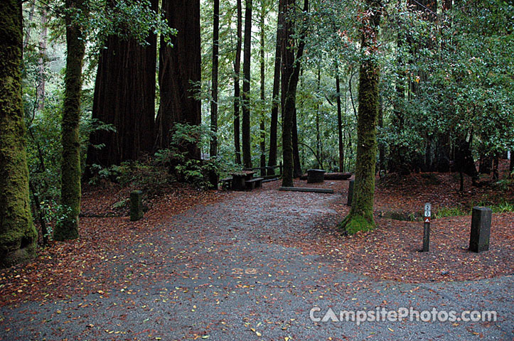 Portola Redwoods SP 028