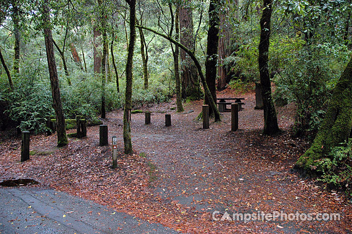 Portola Redwoods SP 029