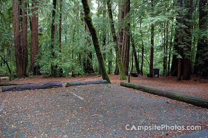 Portola Redwoods SP 031