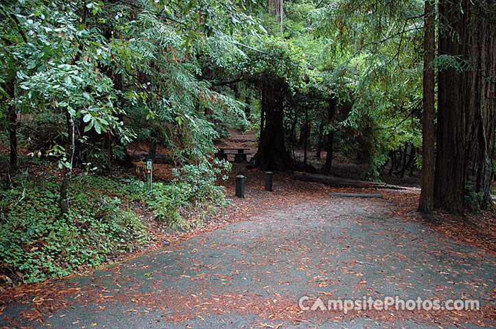 Portola Redwoods SP 046