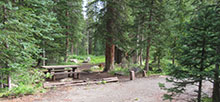 Spruce Grove (CO)