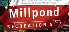 Millpond Recreation Site