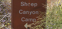 Sheep Canyon