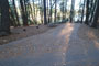 Deer Creek Campground 001