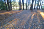 Deer Creek Campground 003A Parking