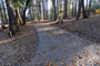 Deer Creek Campground 004