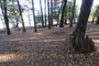 Deer Creek Campground 005A Camping Area