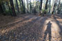 Deer Creek Campground 025