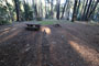 Deer Creek Campground 027 Camping Area