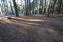 Deer Creek Campground 029