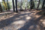 Deer Creek Campground 045