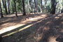 Deer Creek Campground 046 Camping Area