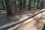 Deer Creek Campground 049