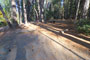 Deer Creek Campground 053 Camping Area