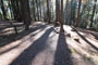 Deer Creek Campground 072