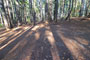 Deer Creek Campground 074