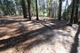 Deer Creek Campground 078