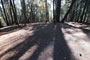 Deer Creek Campground 081
