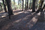 Deer Creek Campground 082