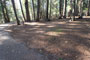 Deer Creek Campground 084
