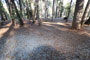 Deer Creek Campground 090