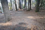 Deer Creek Campground 093