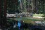 Robinson Creek Fishing Hole