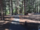 Robinson Creek South Campground 013