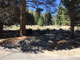 Robinson Creek South Campground 017