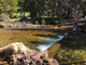 Robinson Creek View