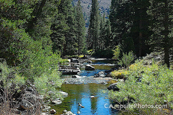 Robinson Creek North Campground Scenic