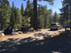 Robinson Creek North Campground 038