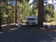 Robinson Creek North Campground 039