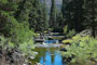 Robinson Creek North Campground Scenic