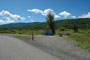 Aspen Grove 207