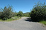 Aspen Grove 209