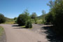 Aspen Grove 216