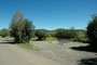 Aspen Grove 217